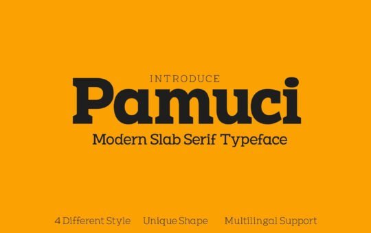 Pamuci-Slab-Serif-Font-1.jpg
