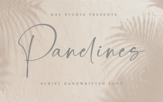 Panelines-Script-Handwritten-Font-1.png