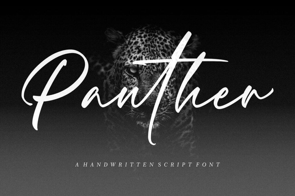 Panther-Handwritten-Script-Font-1.jpg