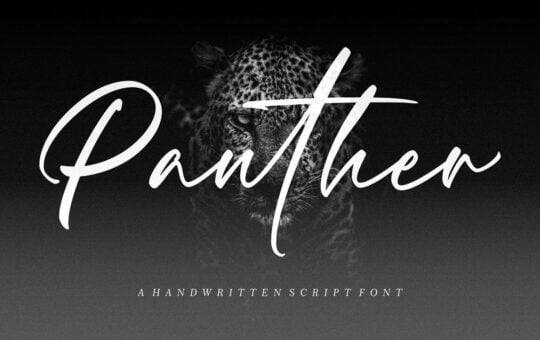 Panther-Handwritten-Script-Font-1.jpg