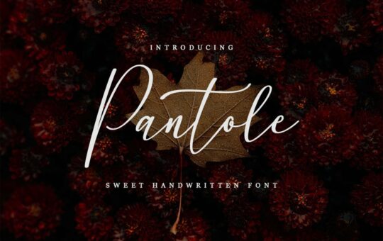 Pantole-Sweet-Handwritten-Script-Font.jpg