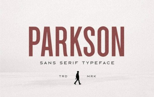 Parkson-Sans-Font.jpg