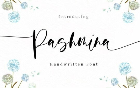 Pashmina-Handwritten-Script-Font.jpg