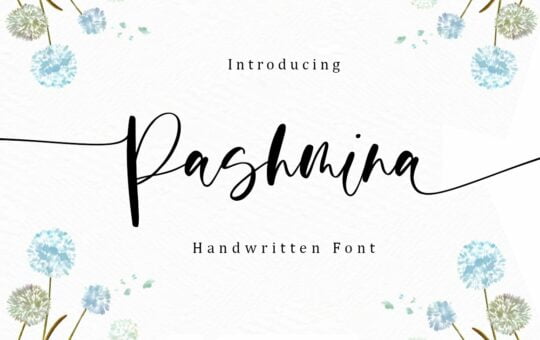 Pashmina-Script-Calligraphy-Font-1.jpg