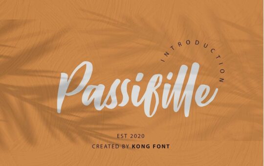 Passifille-Bold-Script-Font-1.jpg