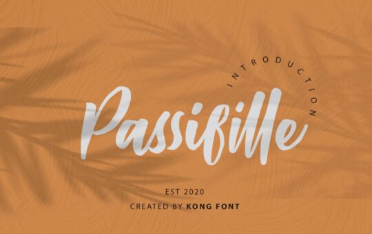 Passifille-Handwritten-Font-1.jpg
