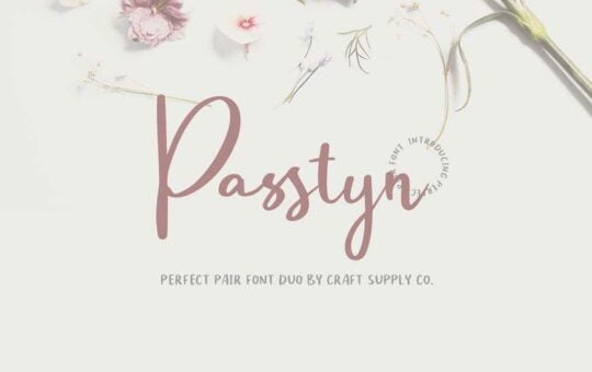Passtyn-Handwritten-Font-Duo-1.jpg