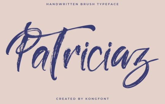 Patriciaz-Script-Brush-Font-1.jpg