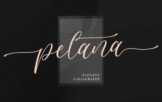 Pelana-Modern-Calligraphy-Script-Font-1.jpg
