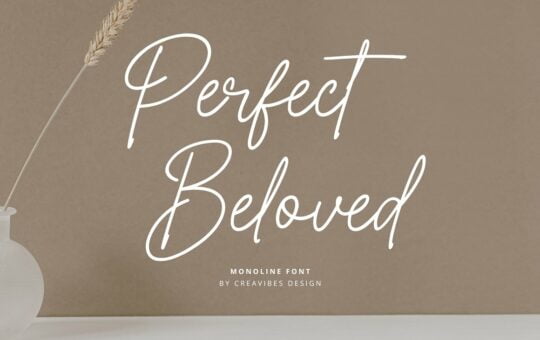 Perfect-Beloved-Monoline-Font-1.jpg