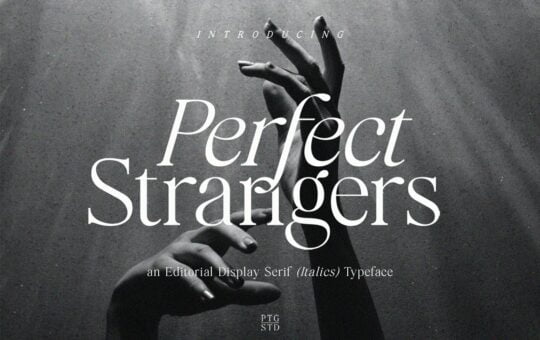 Perfect-Strangers-Serif-Font-1.jpg