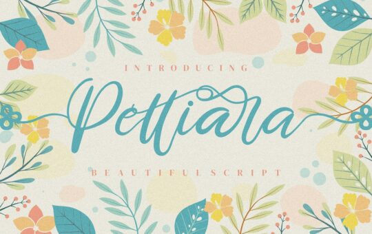 Pettiara-Calligraphy-Script-Font-1.jpg