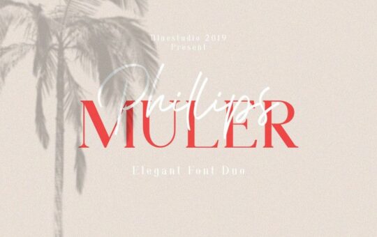 Phillips-Muler-Font-Duo-1.jpg