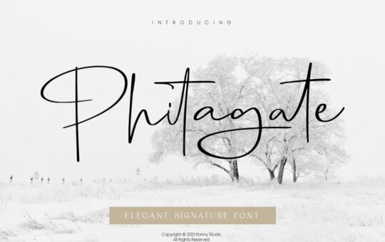 Phitagate-Font.jpg