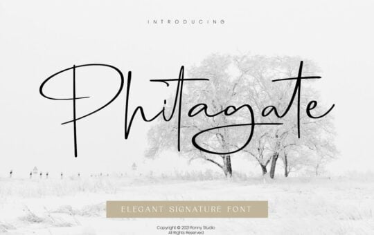 Phitagate-Handwritten-Script-Font-1.jpg
