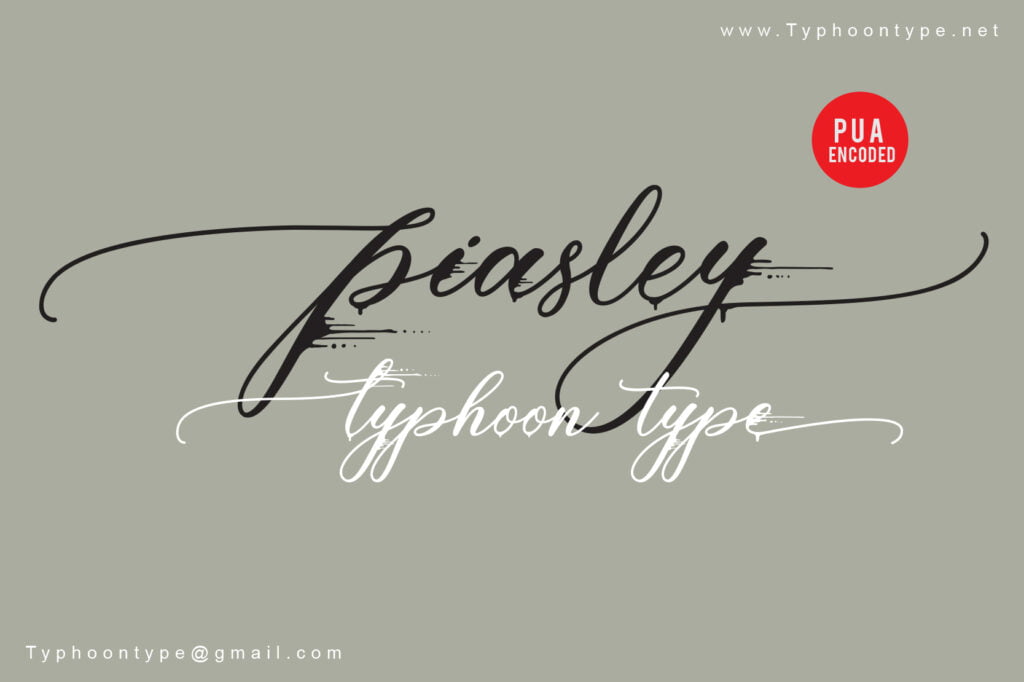 Piasley-Script-Calligraphy-Font-1.jpg