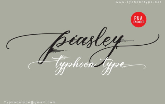 Piasley-Script-Calligraphy-Font-1.jpg