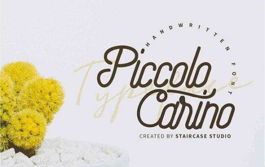 Piccolo-Carino-Monoline-Script-Font-2.jpg