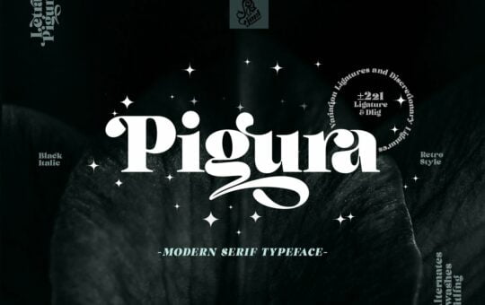 Pigura-Modern-Serif-Font-1.jpg