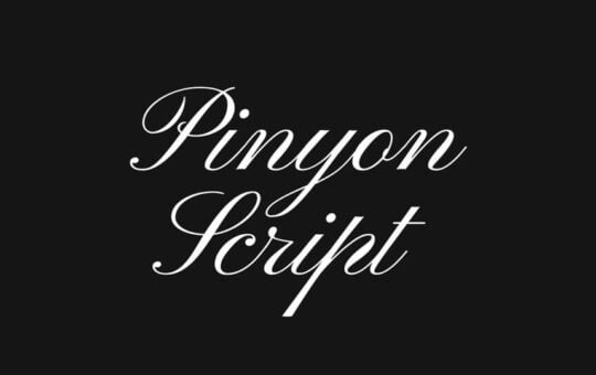 Pinyon-Script-Calligraphy-Font-1.jpg