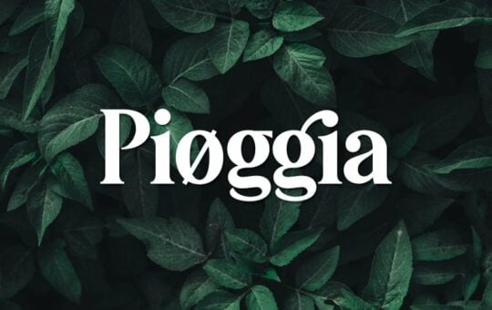 Pioggia-Modern-Serif-Font.jpg