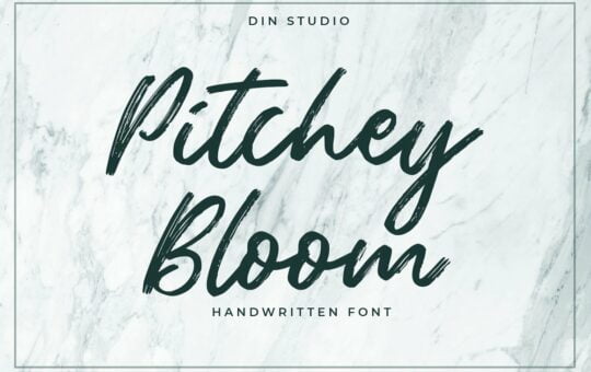 Pitchey-Bloom-Brush-Script-Font-1.jpg