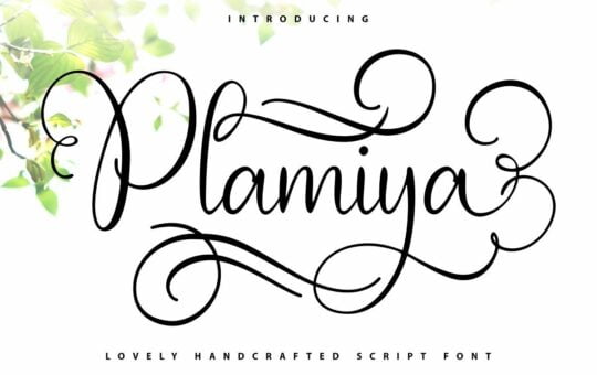 Plamiya-Font-1.jpg
