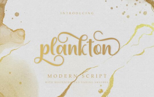 Plankton-Calligraphy-Script-Font-1.jpg
