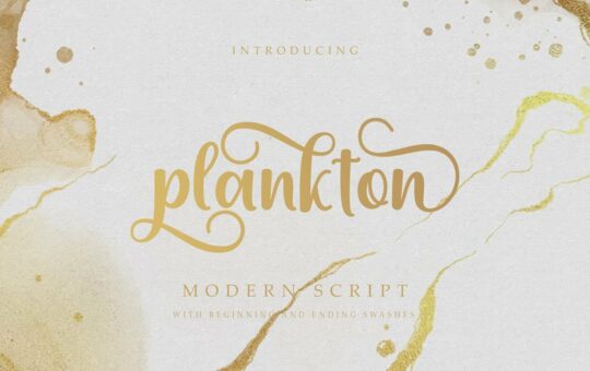 Plankton-Calligraphy-Script-Font.jpg