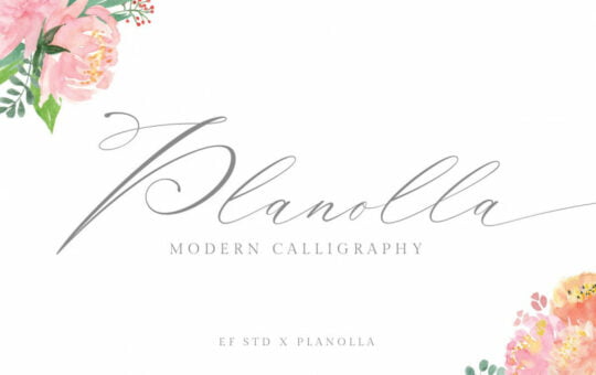 Planolla-Calligraphy-Font-1.jpg