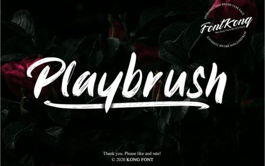 Playbrush-Brush-Script-Font-1.jpg