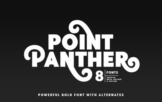 Point-Panther-Bold-Sans-Font-1.jpg