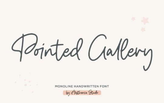 Pointed-Gallery-Monoline-Font-1-scaled.jpg