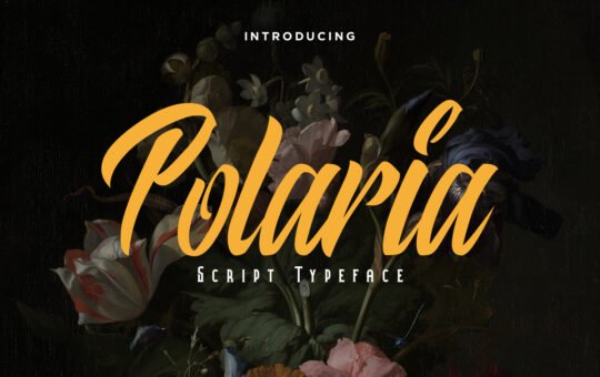 Polaria-Script-Font-1.jpg
