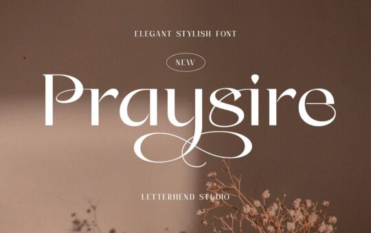 Praysire-Elegant-Stylish-Font-1.jpg