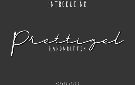 Prettigel-by-mozyenstudio.png