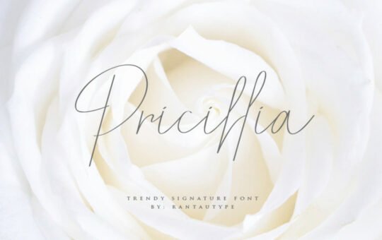 Pricillia-Signature-Font-1.jpg