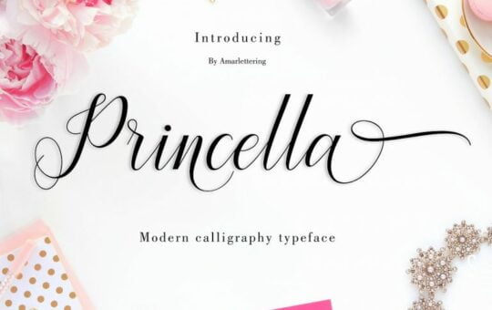 Princella-Script-Font.jpg