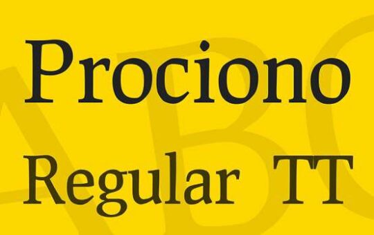 Prociono.jpg