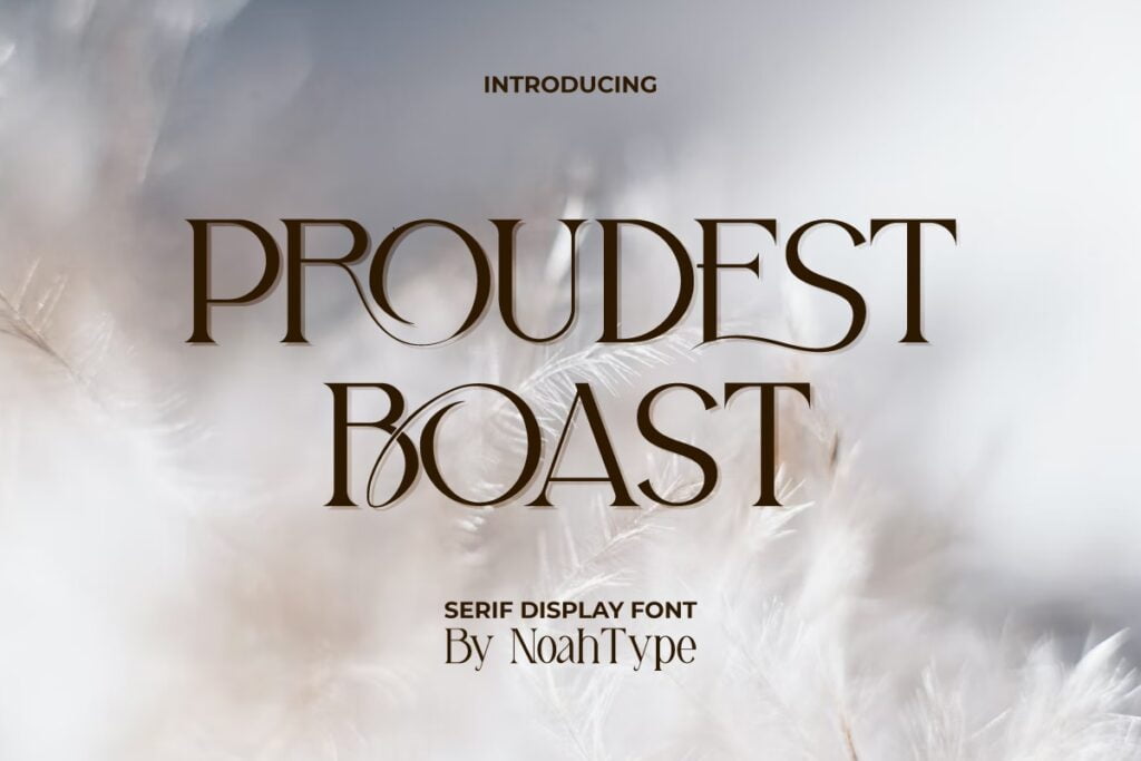 Proudest-Boast-Serif-Font-1.jpg