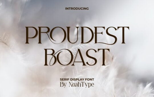 Proudest-Boast-Serif-Font-1.jpg