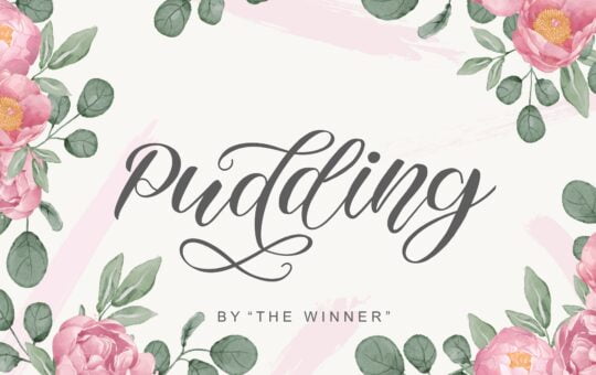 Pudding-Calligraphy-Font-1.jpg