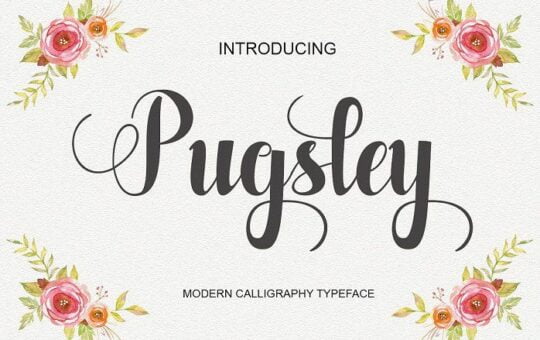 Pugsley-Script-Font.jpg