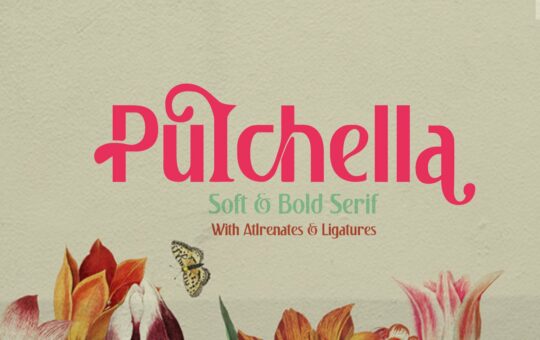 Pulchella-Bold-Serif-Font-1.jpg