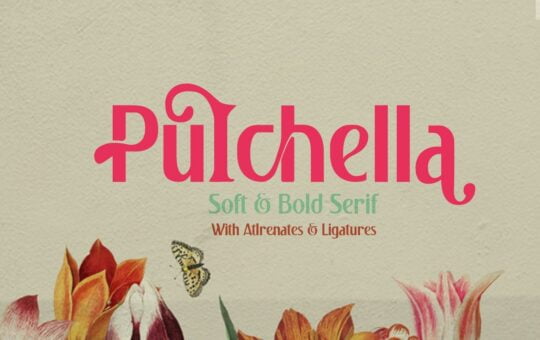 Pulchella-Fonts-1.jpg