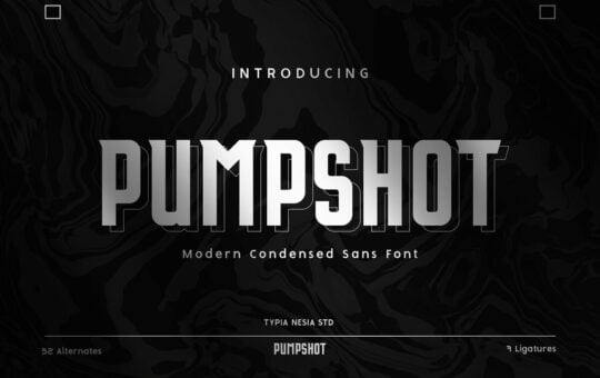 Pumpshot-Sans-Serif-Font-1.jpg