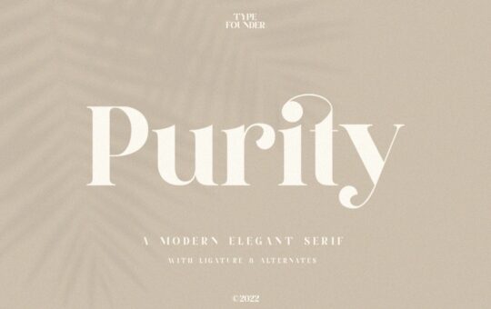 Purity-Modern-Serif-Font-1.jpg