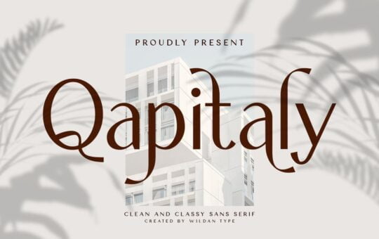 Qapitaly-Font.jpg