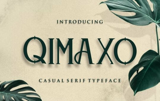 Qimaxo-Modern-Serif-Font-1.jpg