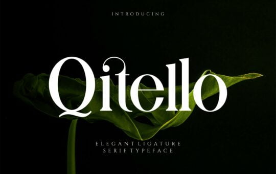 Qitello-Bold-Serif-Typeface-1.jpg